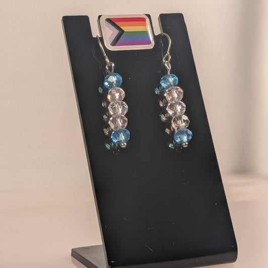 Pair of earrings on a black stand with a rainbow flag label.