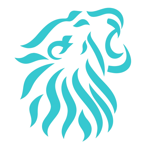 Ari Designs